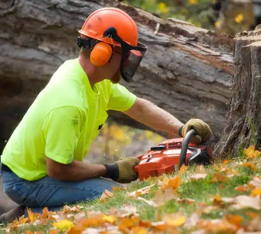 tree services Baldwin